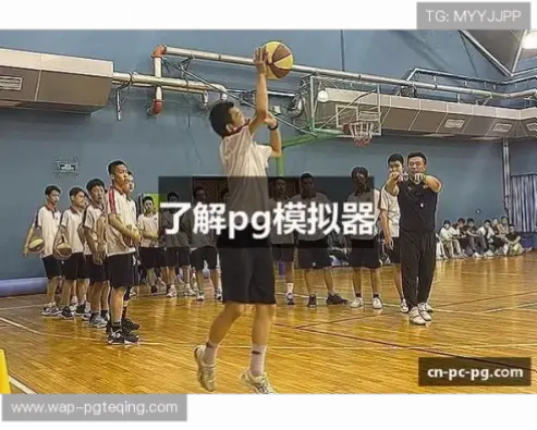 pg模拟器试玩卡顿闪退原因与解决